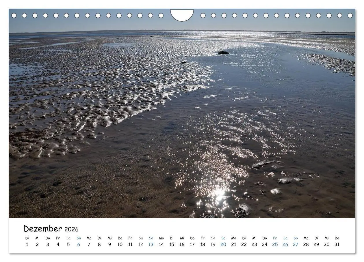 Bild: 9783516160840 | Föhr und Halligwelt 2026 (Wandkalender 2026 DIN A4 quer), CALVENDO...