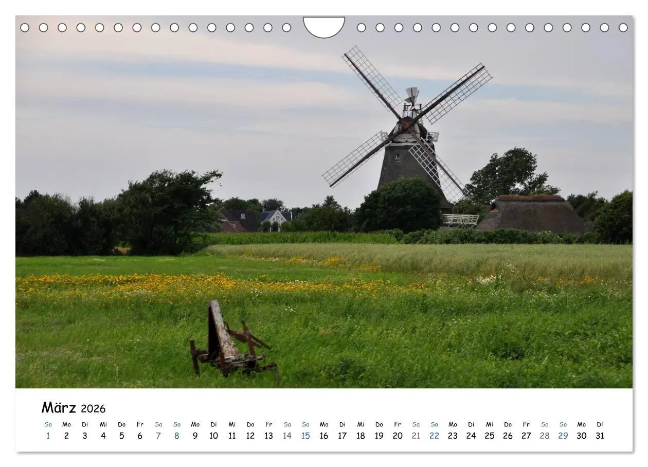 Bild: 9783516160840 | Föhr und Halligwelt 2026 (Wandkalender 2026 DIN A4 quer), CALVENDO...