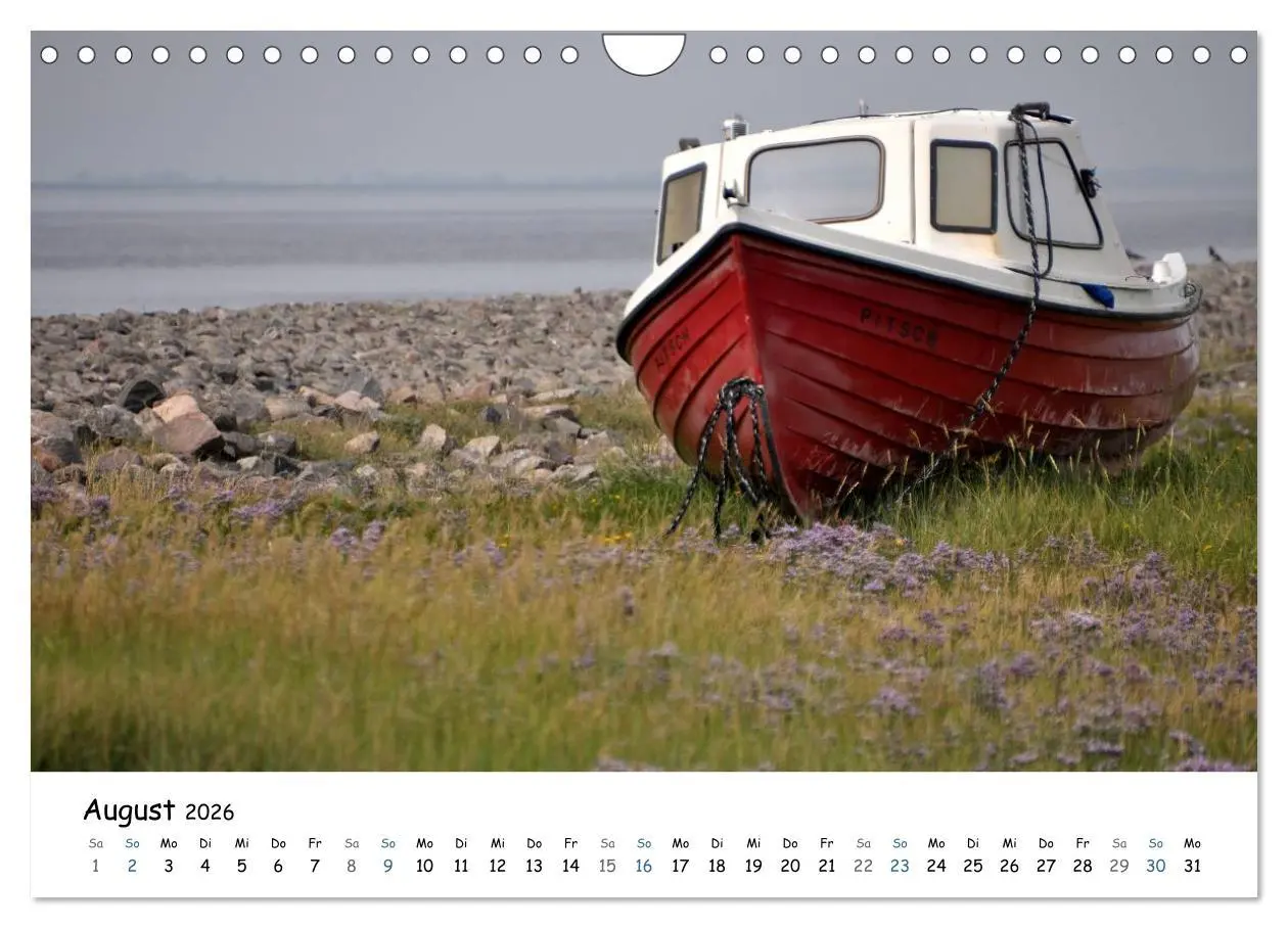Bild: 9783516160840 | Föhr und Halligwelt 2026 (Wandkalender 2026 DIN A4 quer), CALVENDO...