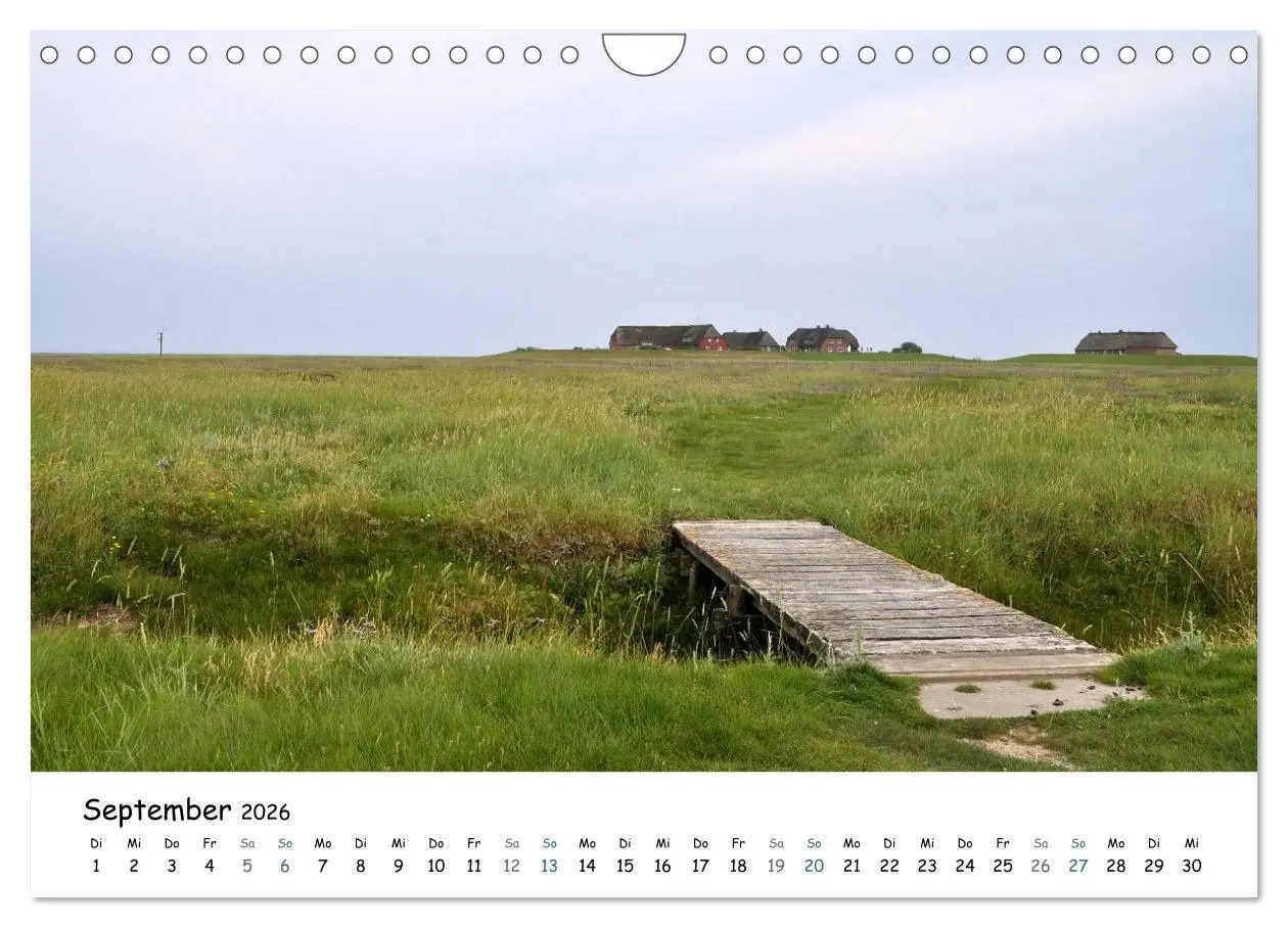 Bild: 9783516160840 | Föhr und Halligwelt 2026 (Wandkalender 2026 DIN A4 quer), CALVENDO...