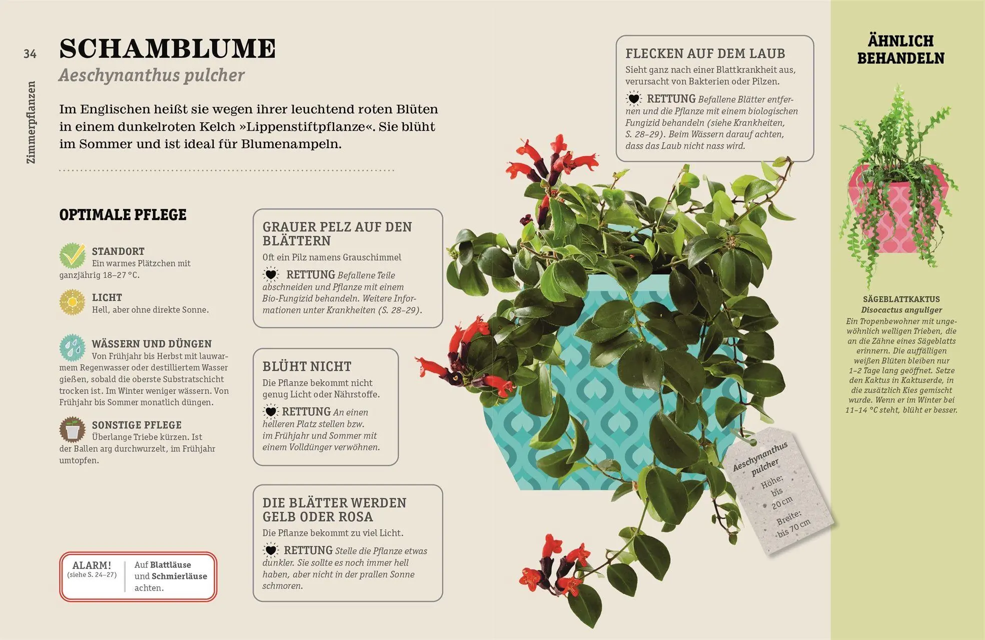 Bild: 9783831050840 | So überlebt deine Zimmerpflanze garantiert | Veronica Peerless | Buch