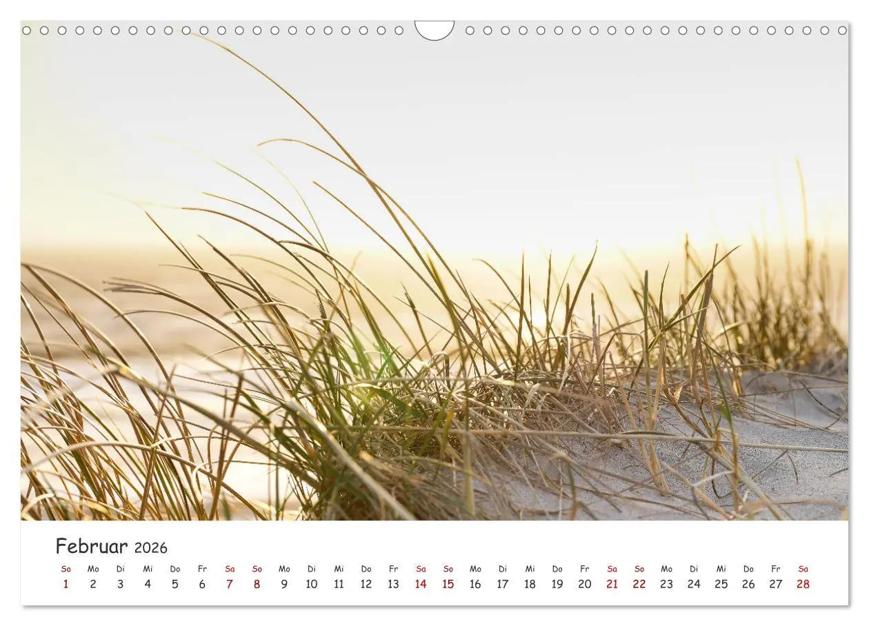 Bild: 9783457750940 | Dünen und Meer Nordseemomente (Wandkalender 2026 DIN A3 quer),...