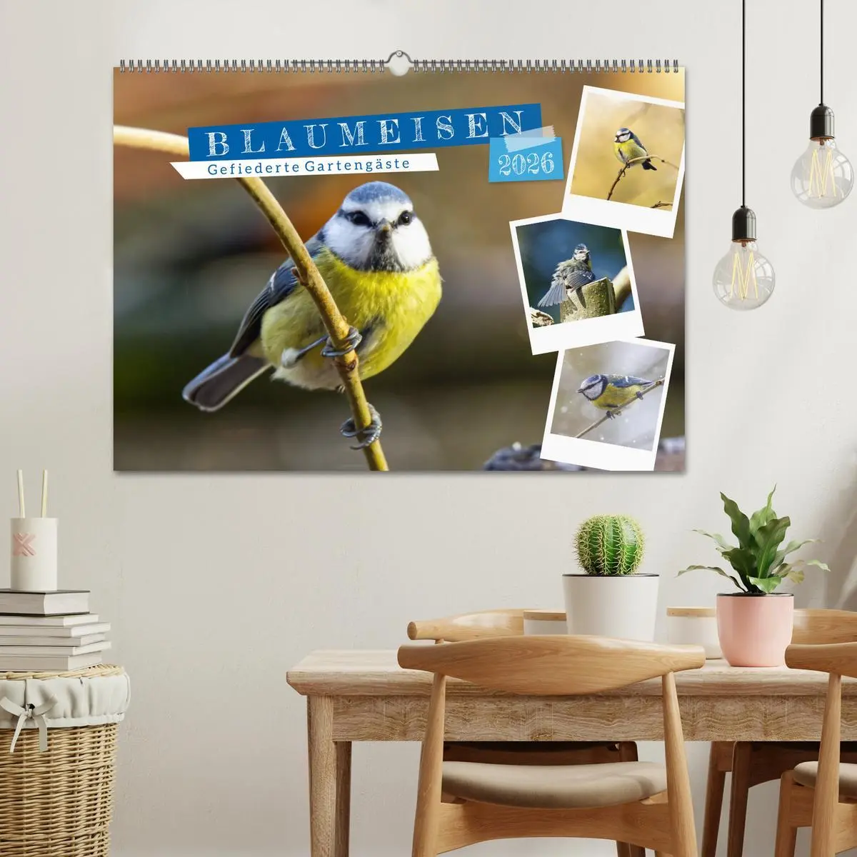 Bild: 9783457820940 | Gefiederte Gartengäste, Blaumeisen (Wandkalender 2026 DIN A2 quer),...
