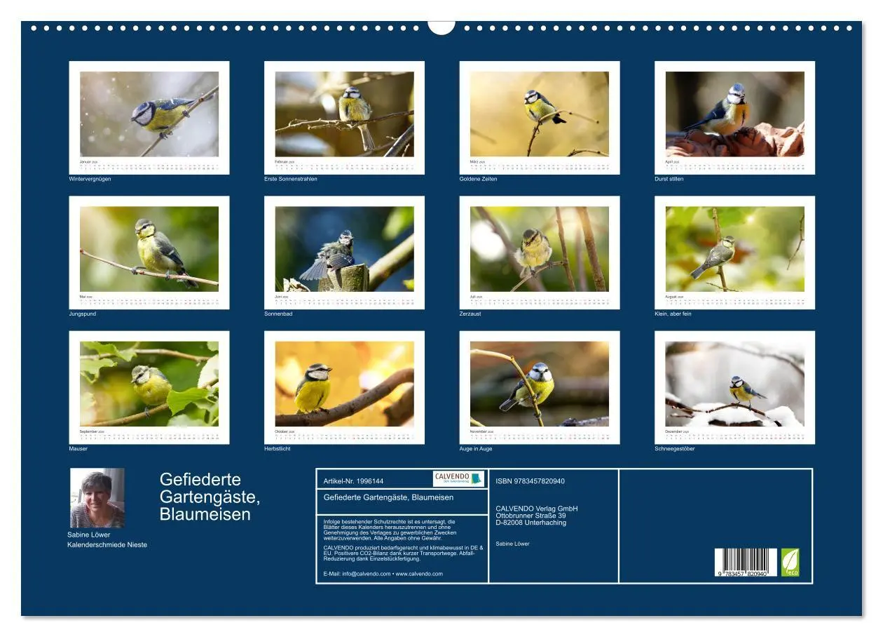 Bild: 9783457820940 | Gefiederte Gartengäste, Blaumeisen (Wandkalender 2026 DIN A2 quer),...