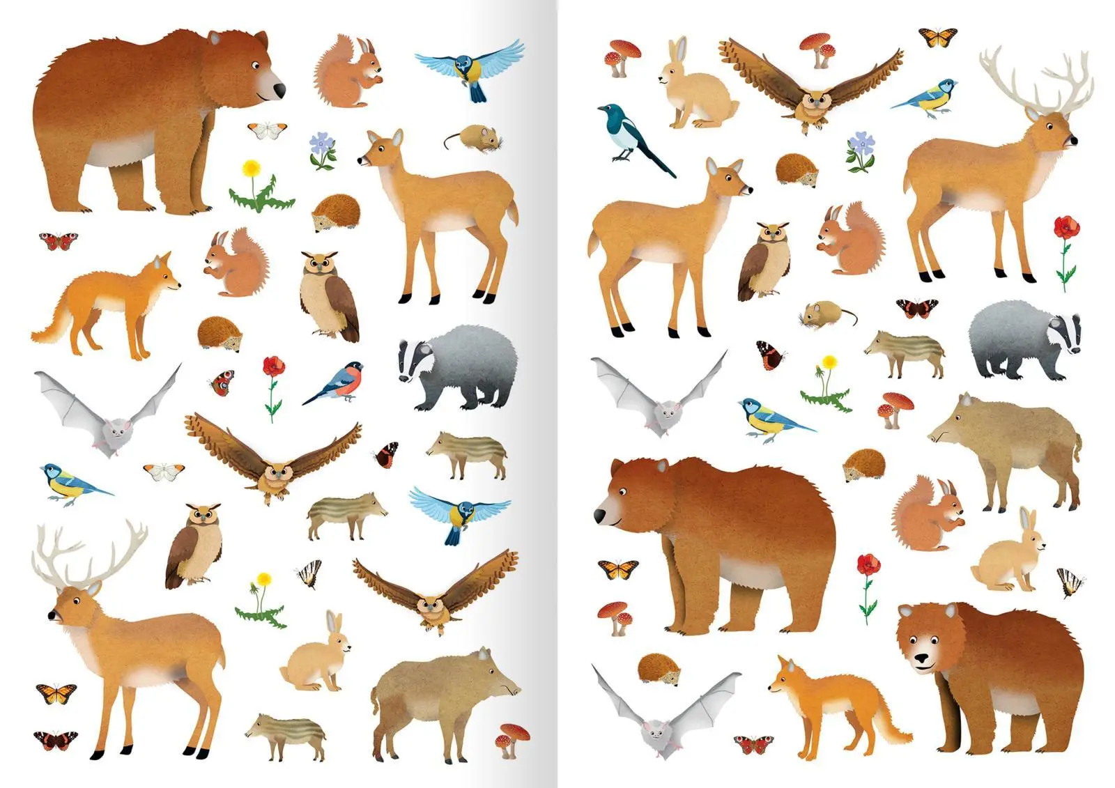 Bild: 9783845830940 | Mein Natur-Stickerbuch | Über 300 Sticker | Timo Schumacher | Buch