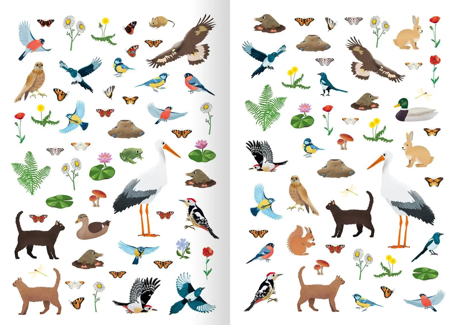 Bild: 9783845830940 | Mein Natur-Stickerbuch | Über 300 Sticker | Timo Schumacher | Buch