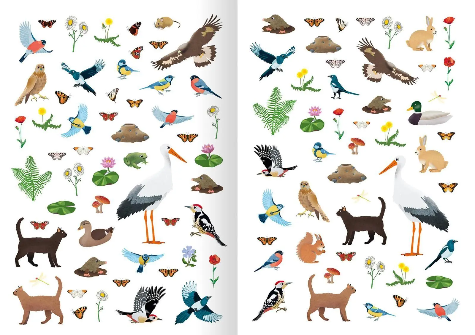 Bild: 9783845830940 | Mein Natur-Stickerbuch | Über 300 Sticker | Timo Schumacher | Buch