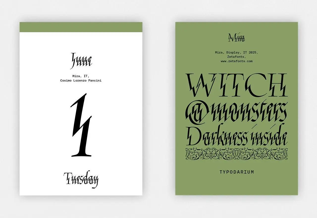 Bild: 4260172811040 | Typodarium 2027 | A 365 Day Type Calendar | Raban Ruddigkeit (u. a.)