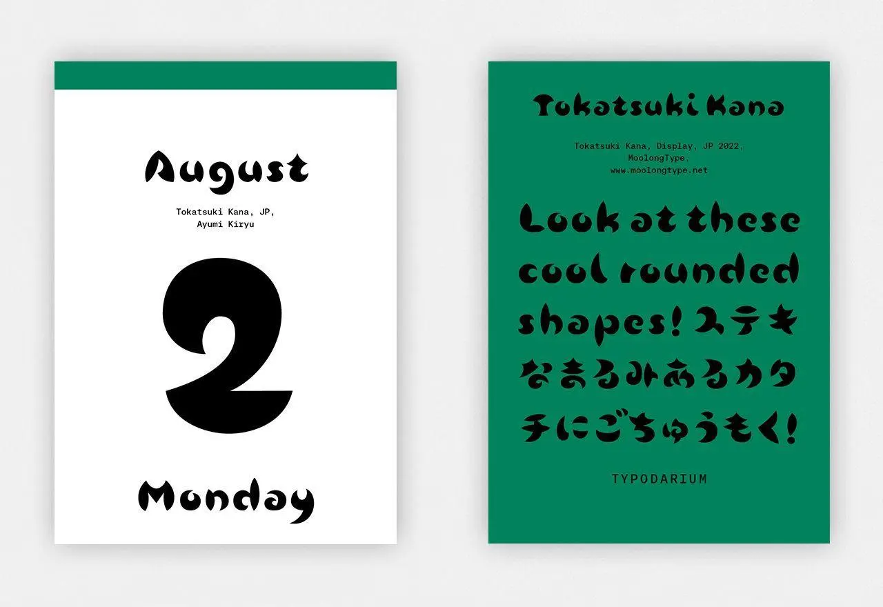 Bild: 4260172811040 | Typodarium 2027 | A 365 Day Type Calendar | Raban Ruddigkeit (u. a.)