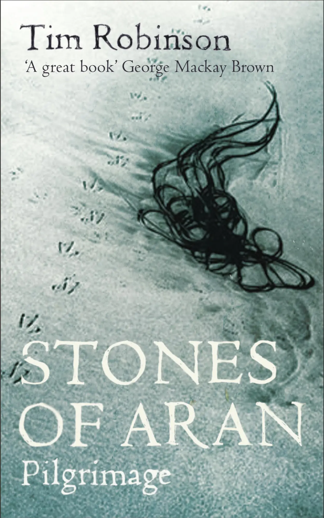 Cover: 9780571241040 | Stones of Aran | Pilgrimage | Tom Robinson | Taschenbuch | Englisch