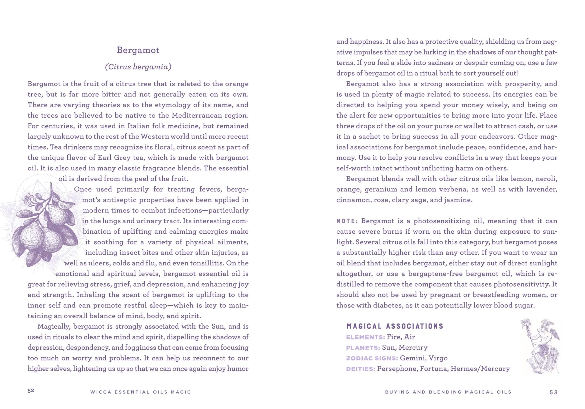 Bild: 9781454941040 | Wicca Essential Oils Magic | Lisa Chamberlain | Buch | Gebunden | 2022