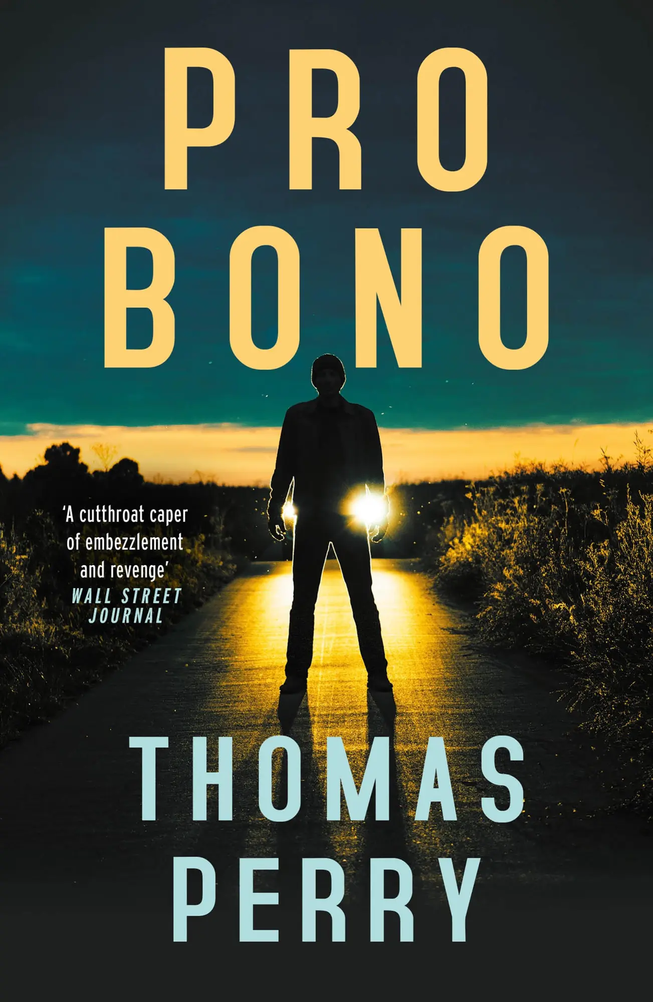 Cover: 9781804711040 | Pro Bono | Thomas Perry | Taschenbuch | Englisch | 2025