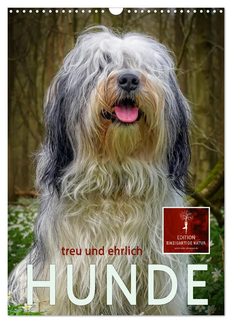 Cover: 9783435931040 | Hunde - treu und ehrlich (Wandkalender 2025 DIN A3 hoch), CALVENDO...