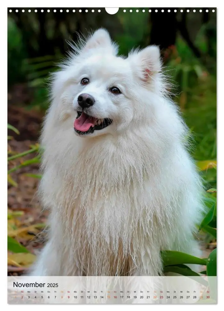Bild: 9783435931040 | Hunde - treu und ehrlich (Wandkalender 2025 DIN A3 hoch), CALVENDO...