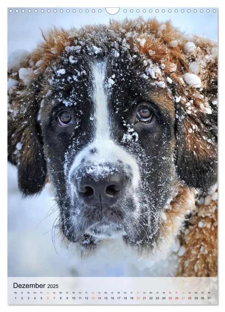 Bild: 9783435931040 | Hunde - treu und ehrlich (Wandkalender 2025 DIN A3 hoch), CALVENDO...