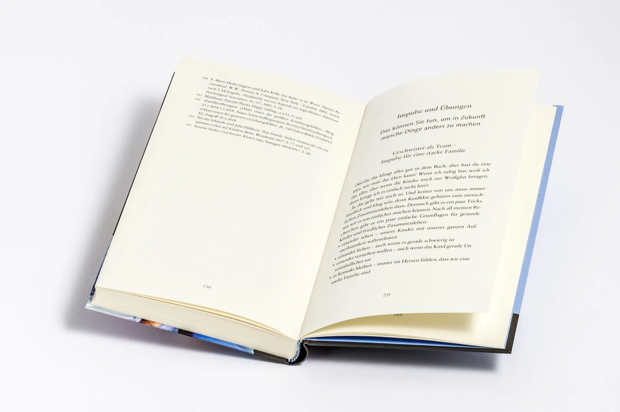 Bild: 9783466311040 | Geschwister als Team | Nicola Schmidt | Buch | 240 S. | Deutsch | 2018
