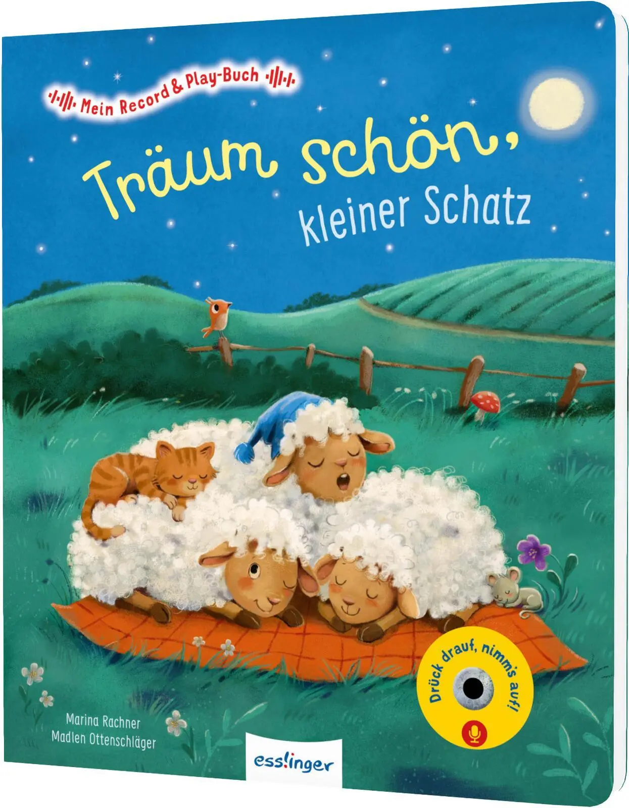 Cover: 9783480241040 | Mein Record &amp; Play-Buch: Träum schön, kleiner Schatz | Ottenschläger