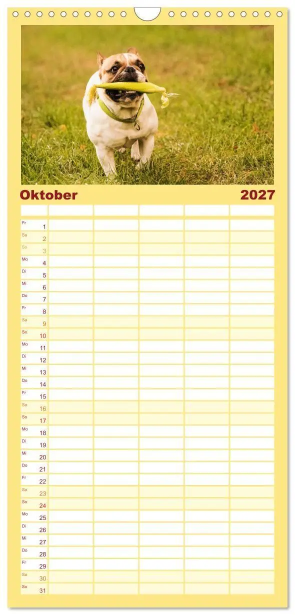 Bild: 9783594331040 | Familienplaner 2027 - Französische Bulldoggen - Schutzengel auf 4...