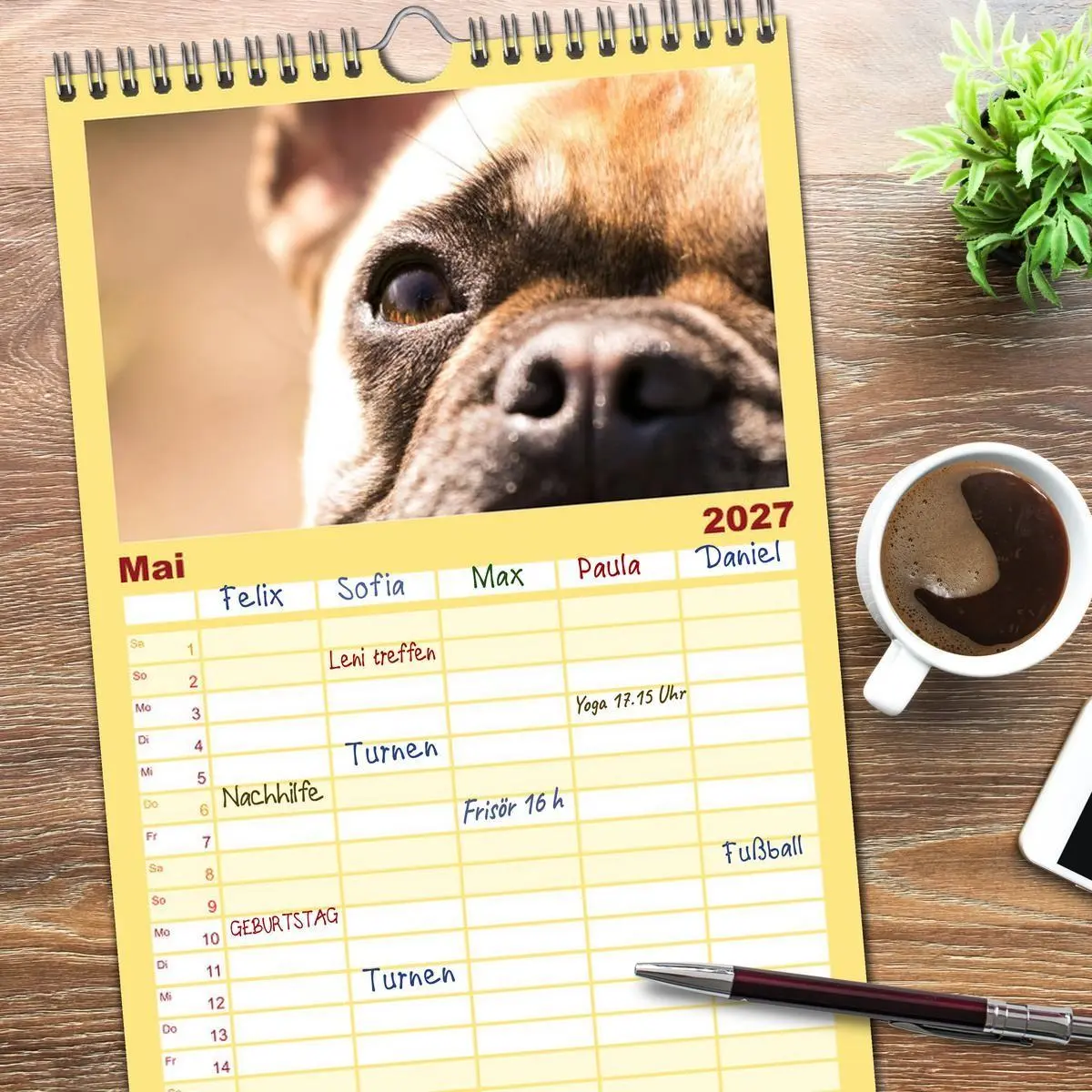 Bild: 9783594331040 | Familienplaner 2027 - Französische Bulldoggen - Schutzengel auf 4...