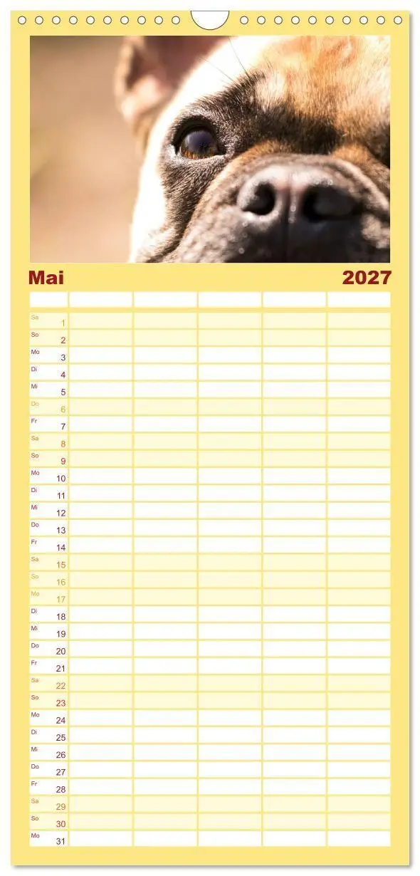 Bild: 9783594331040 | Familienplaner 2027 - Französische Bulldoggen - Schutzengel auf 4...