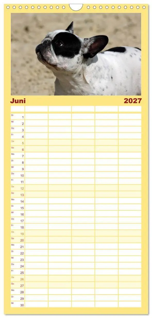 Bild: 9783594331040 | Familienplaner 2027 - Französische Bulldoggen - Schutzengel auf 4...