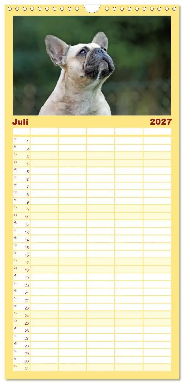 Bild: 9783594331040 | Familienplaner 2027 - Französische Bulldoggen - Schutzengel auf 4...