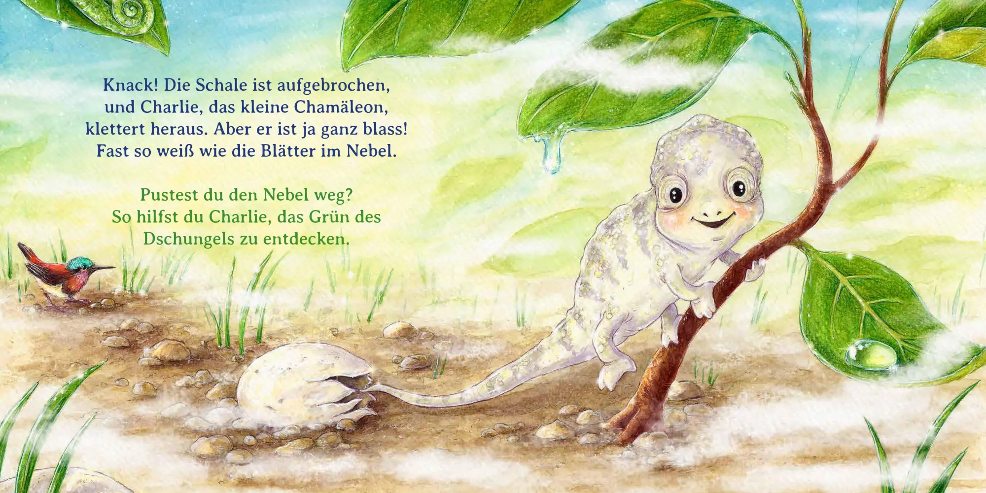 Bild: 9783833911040 | Schau mal, alle meine Farben | Sophie Schoenwald | Buch | 26 S. | 2026