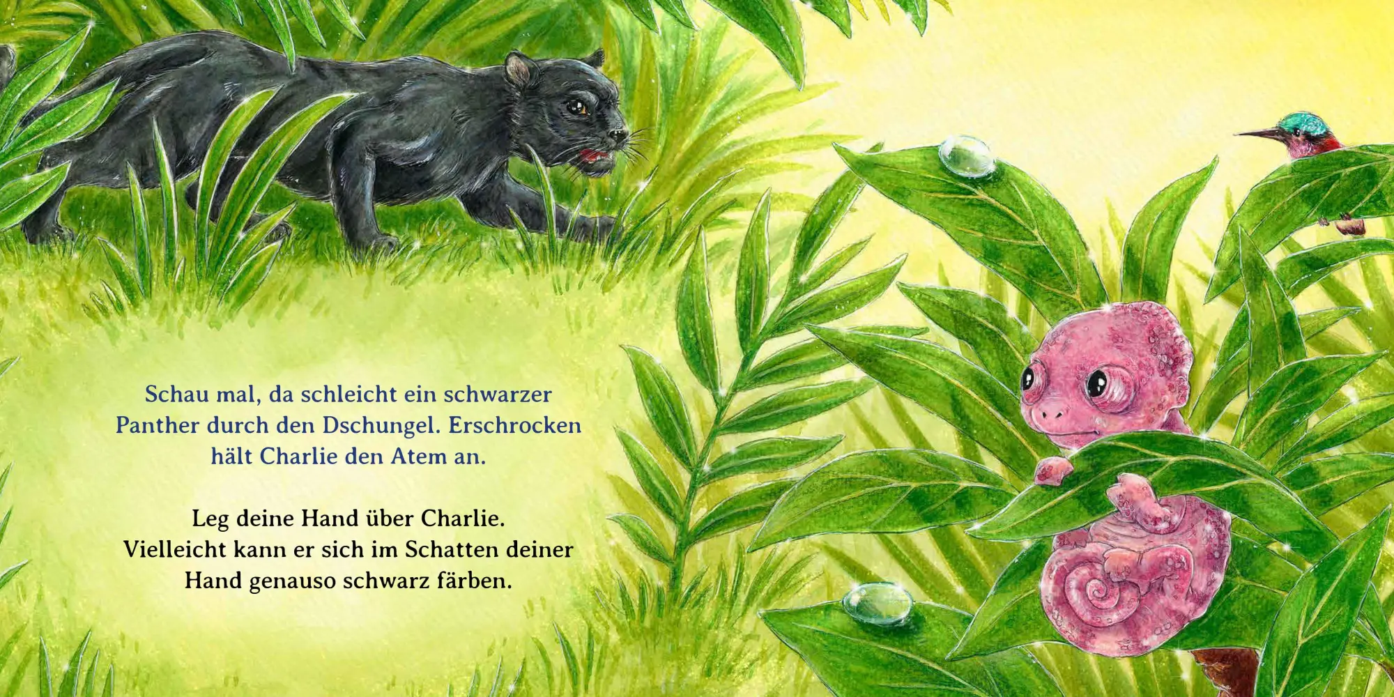 Bild: 9783833911040 | Schau mal, alle meine Farben | Sophie Schoenwald | Buch | 26 S. | 2026