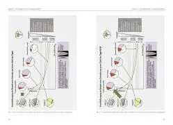 Bild: 9783938711040 | Messerklingen und Stahl | Roman Landes | Buch | 176 S. | Deutsch