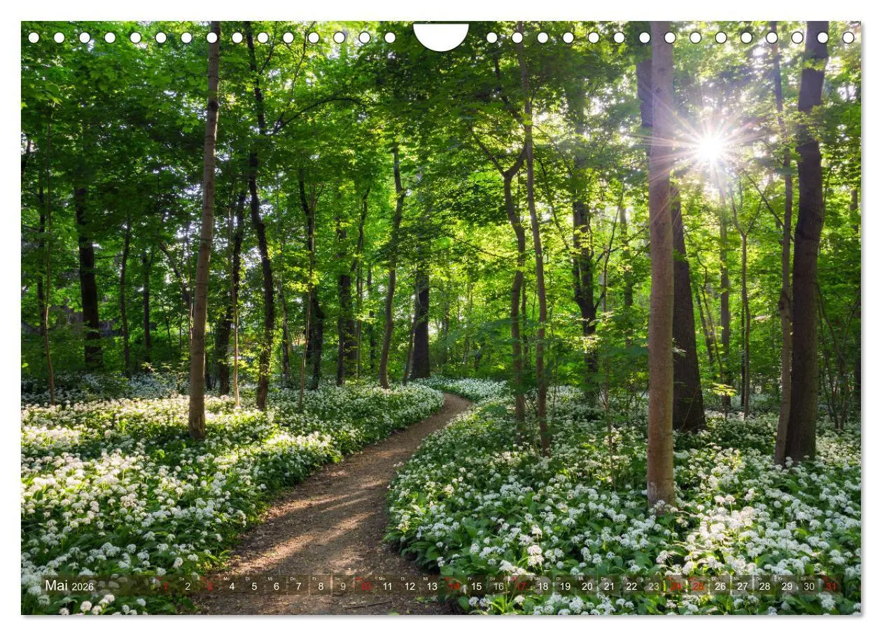Bild: 9783457631140 | Stimmungsvolle Landschaften in Sachsen 2026 (Wandkalender 2026 DIN...