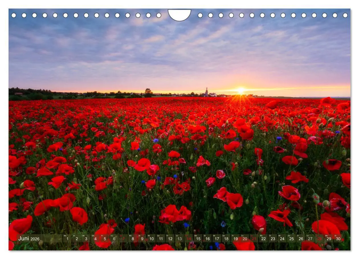 Bild: 9783457631140 | Stimmungsvolle Landschaften in Sachsen 2026 (Wandkalender 2026 DIN...