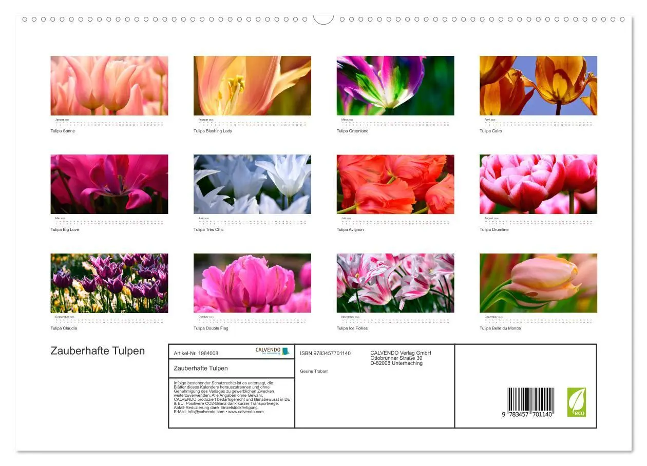 Bild: 9783457701140 | Zauberhafte Tulpen (hochwertiger Premium Wandkalender 2026 DIN A2...