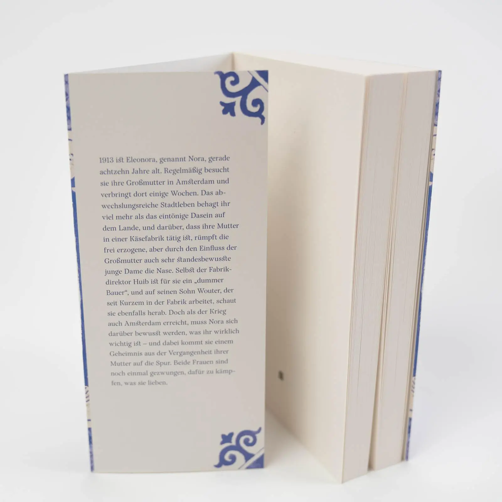 Bild: 9783365001240 | Die Unternehmerin von Amsterdam | Historischer Roman | Vlugt | Buch