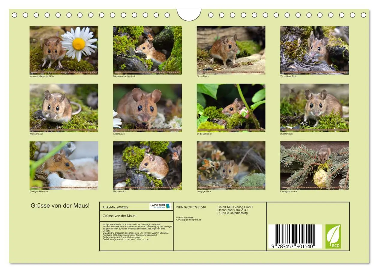 Bild: 9783457901540 | Grüsse von der Maus! (Wandkalender 2026 DIN A4 quer), CALVENDO...