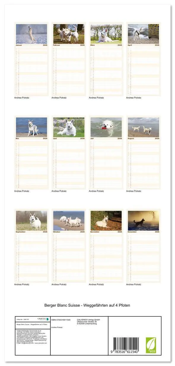 Bild: 9783516611540 | Familienplaner 2026 - Berger Blanc Suisse - Weggefährten auf 4...