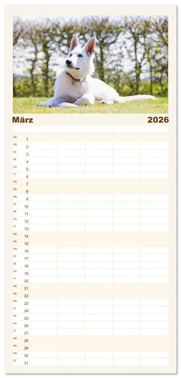 Bild: 9783516611540 | Familienplaner 2026 - Berger Blanc Suisse - Weggefährten auf 4...