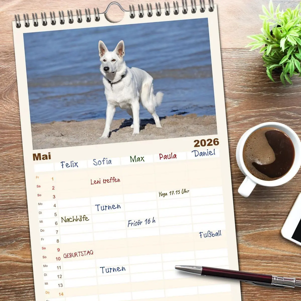 Bild: 9783516611540 | Familienplaner 2026 - Berger Blanc Suisse - Weggefährten auf 4...