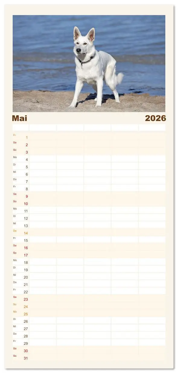 Bild: 9783516611540 | Familienplaner 2026 - Berger Blanc Suisse - Weggefährten auf 4...