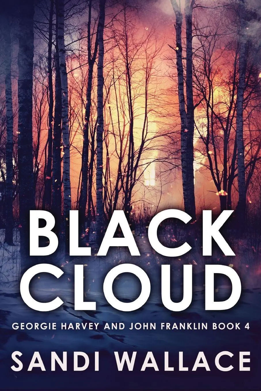 Cover: 9784867451540 | Black Cloud | Sandi Wallace | Taschenbuch | Kartoniert / Broschiert