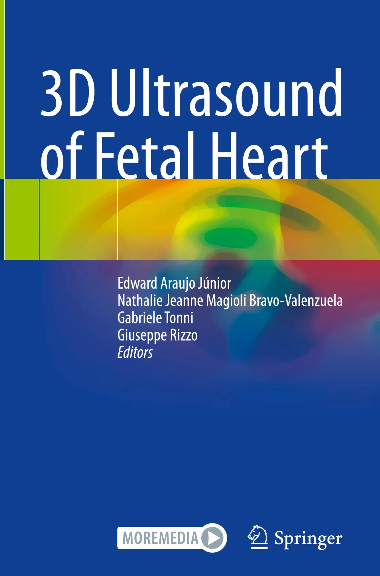 Cover: 9783031871740 | 3D Ultrasound of Fetal Heart | Edward Araujo Júnior (u. a.) | Buch | x