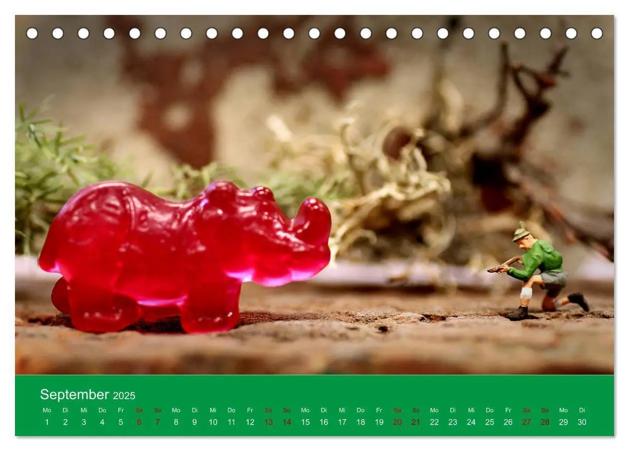 Bild: 9783435341740 | Miniaturen - Klein ganz groß (Tischkalender 2025 DIN A5 quer),...