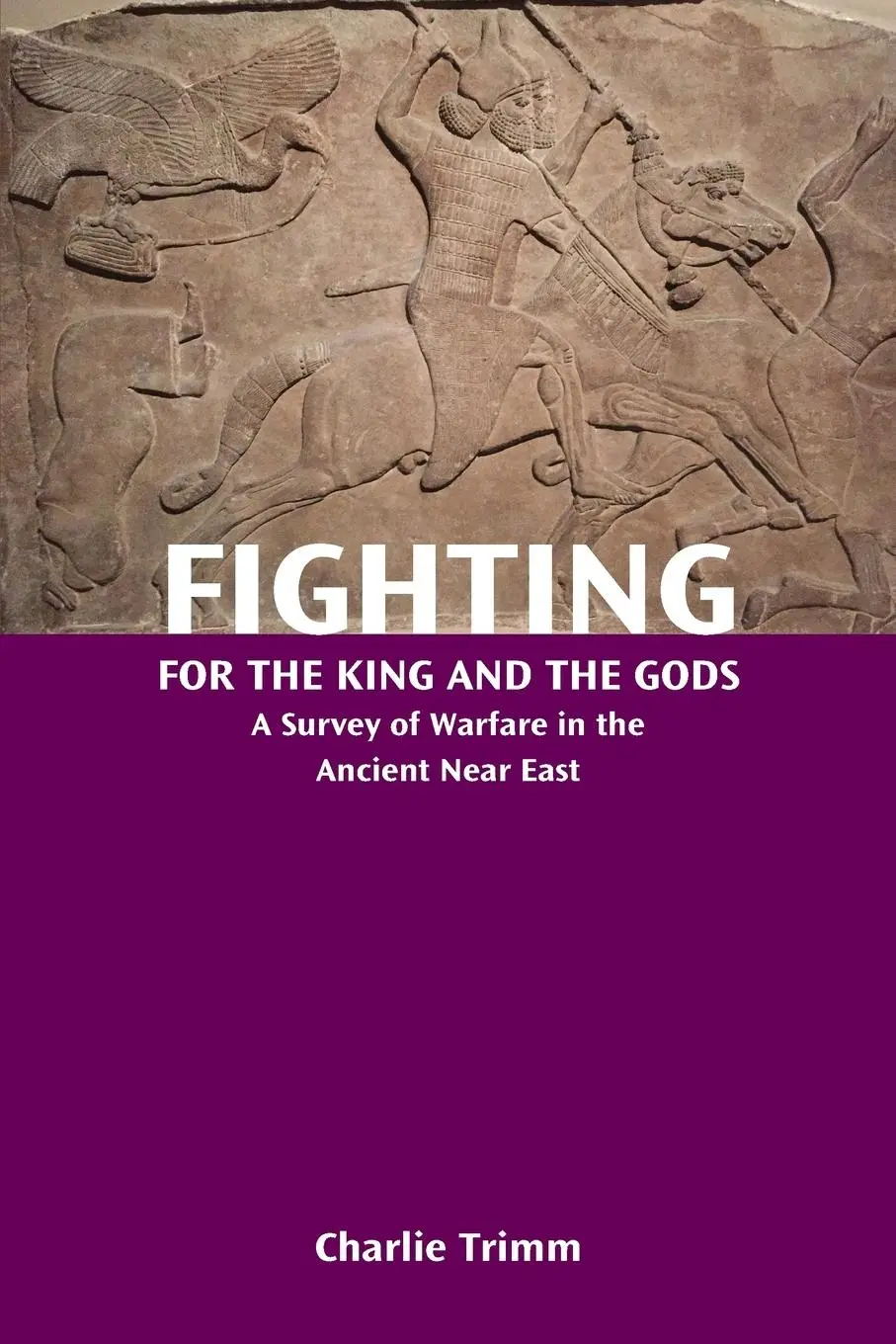 Cover: 9781628371840 | Fighting for the King and the Gods | Charlie Trimm | Taschenbuch