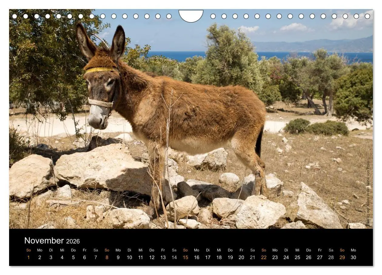 Bild: 9783516131840 | Zypern - Cyprus - Kypros (Wandkalender 2026 DIN A4 quer), CALVENDO...