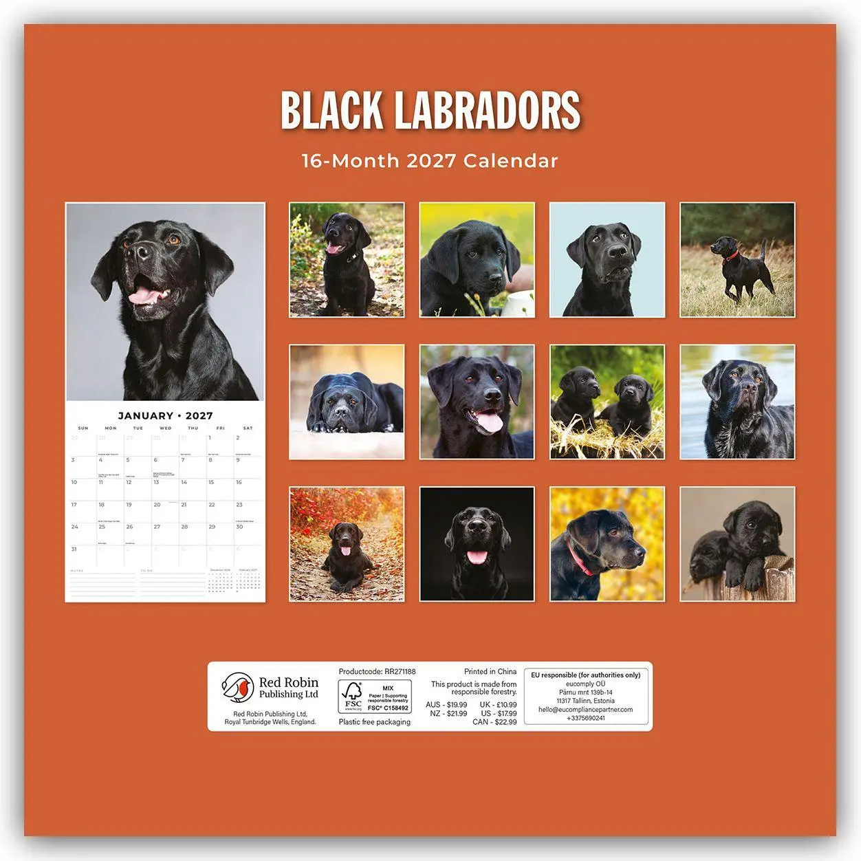 Rückseite: 9781837011940 | Black Labrador Retrievers - Schwarze Labrador Retriever 2027 -...