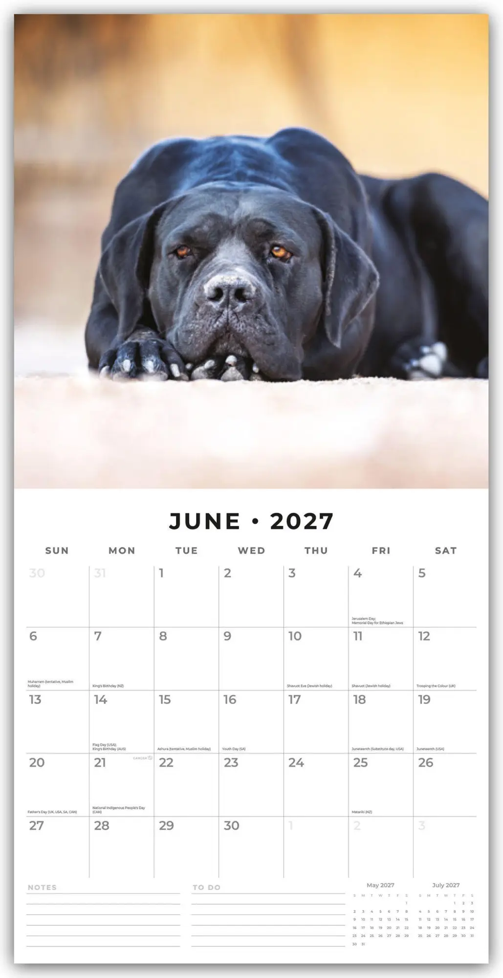 Bild: 9781837011940 | Black Labrador Retrievers - Schwarze Labrador Retriever 2027 -...