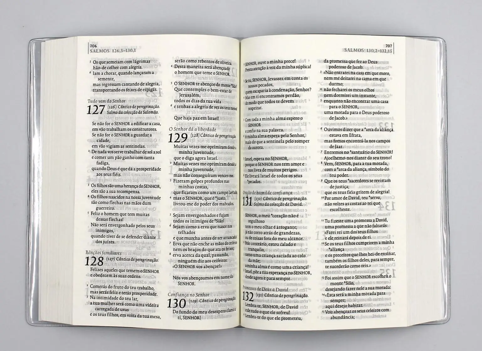Bild: 9783438081940 | Bibel Portugiesisch - a Bíblia para todos | Buch | 1777 S. | 2009