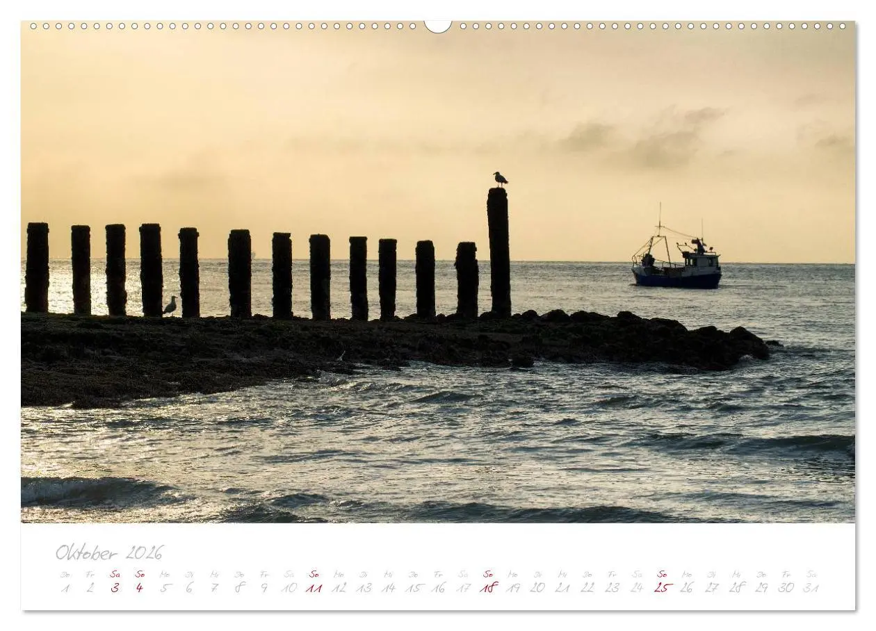 Bild: 9783516121940 | Zeeland (Wandkalender 2026 DIN A2 quer), CALVENDO Monatskalender