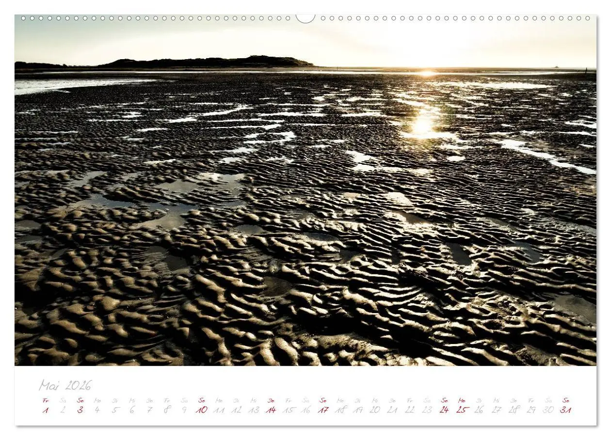 Bild: 9783516121940 | Zeeland (Wandkalender 2026 DIN A2 quer), CALVENDO Monatskalender