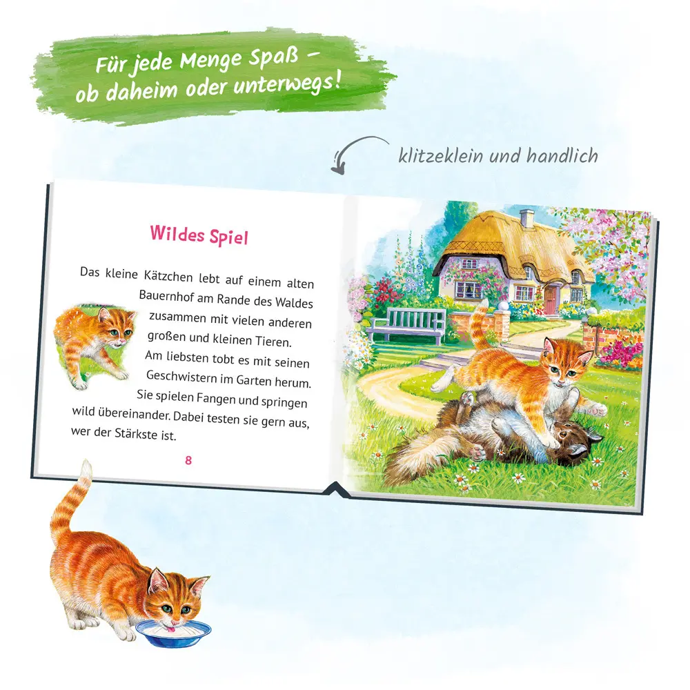 Bild: 9783965521940 | Mein klitzekleines Kinderbuch - Katzengeschichten | KG | Buch | 32 S.