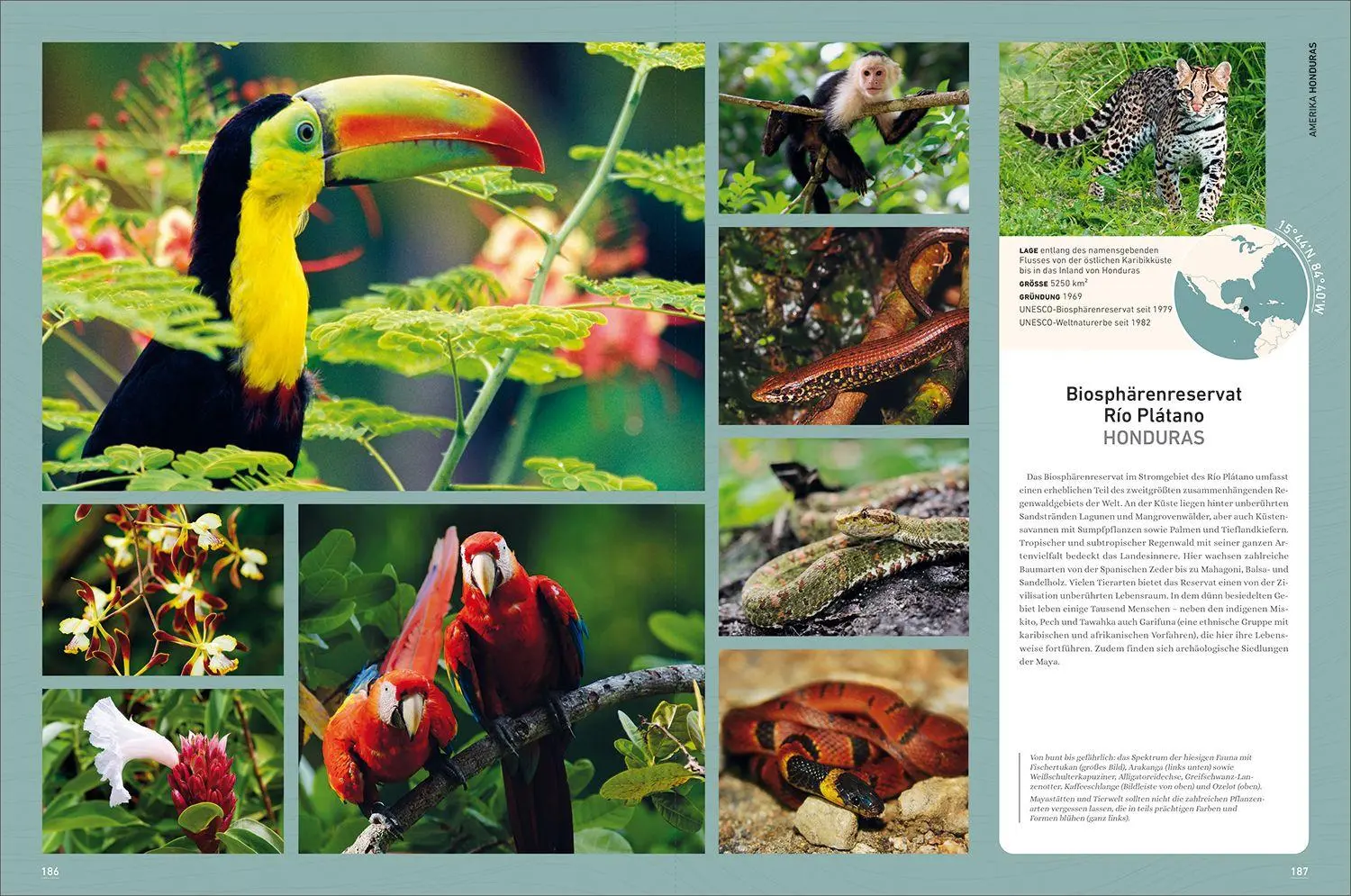 Bild: 9783969651940 | KUNTH Bildband Wilde Erde | Kunth Verlag | Buch | 304 S. | Deutsch